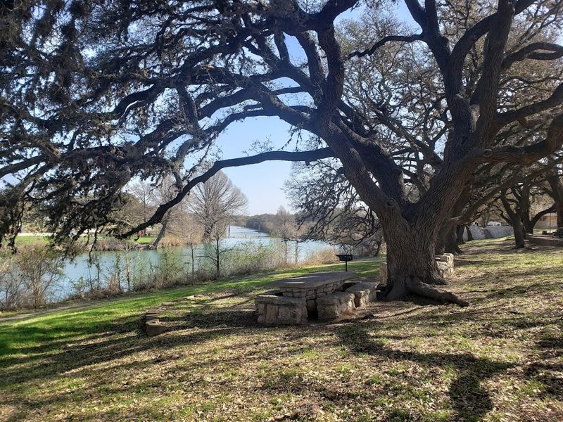 Camp Under the Live Oaks Camp Under the Live Oaks