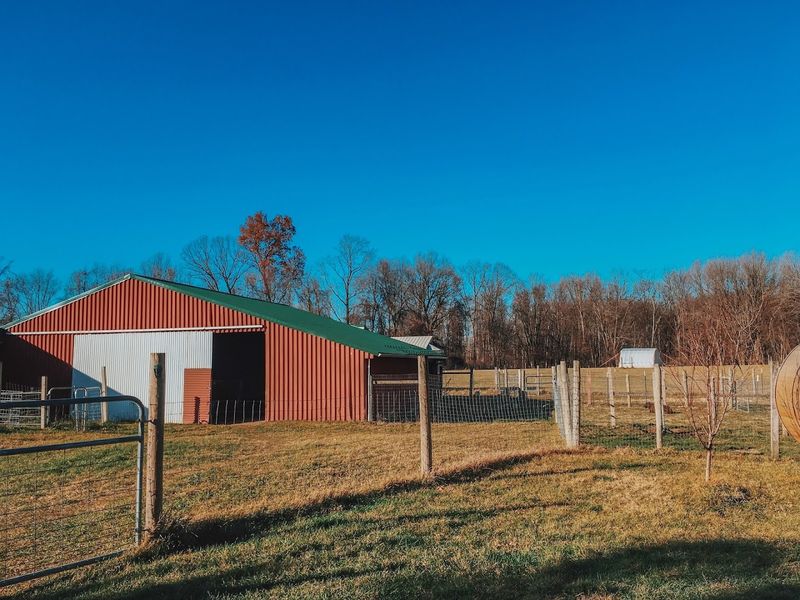 CanDo Acres — Paw Paw
