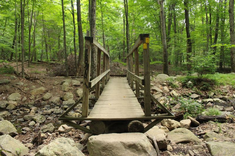 Cannonball Trail - Ramapo Valley County Reservation