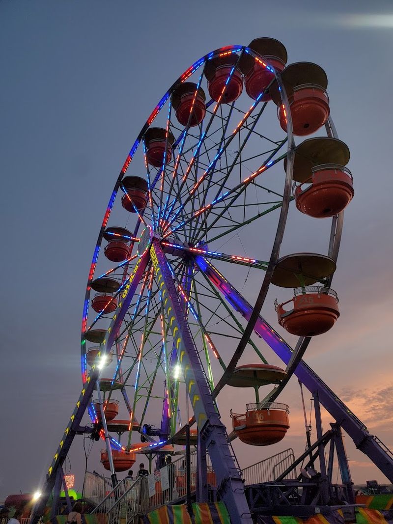 Carnival Rides, Live Music, and Festival Vibes All Week Long