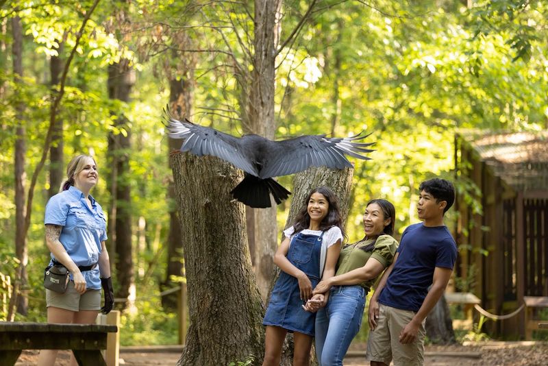 Carolina Raptor Center Carolina Raptor Center