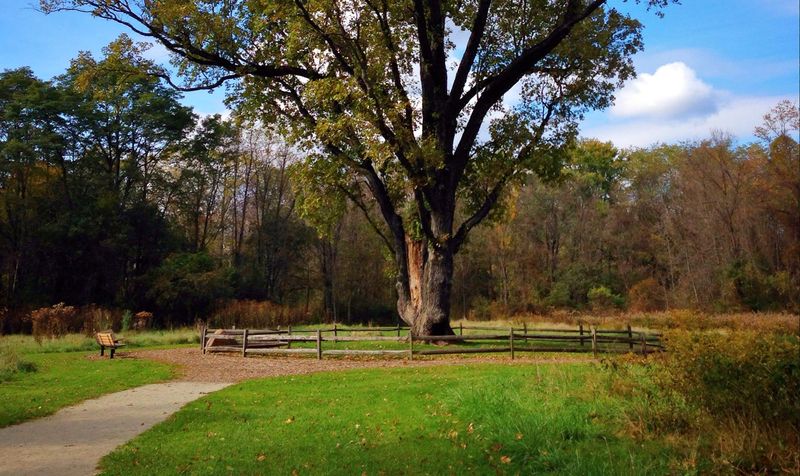 Cascade Valley Metro Park, Akron, OH