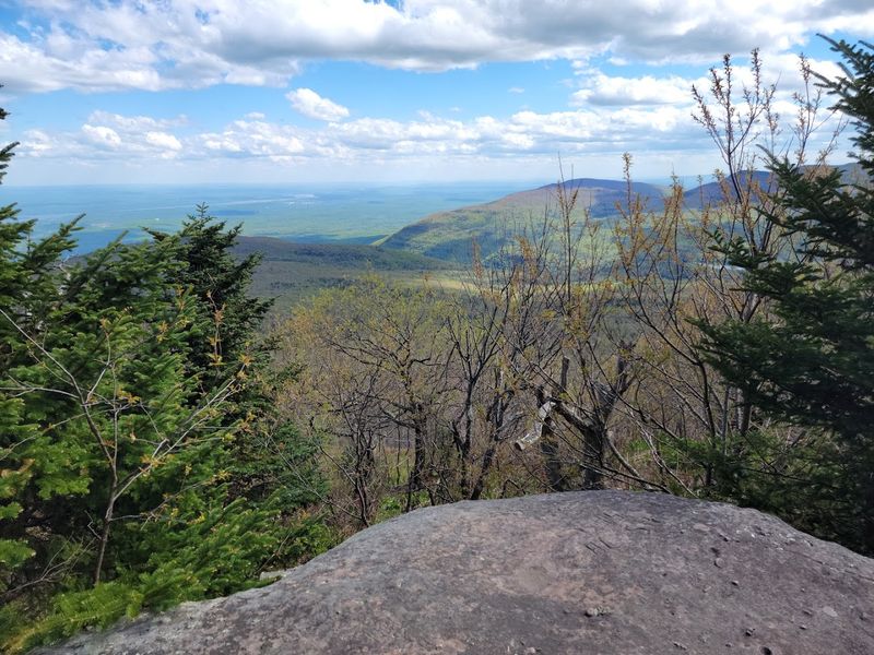 Catskill 3500 Club Catskill 3500 Club
