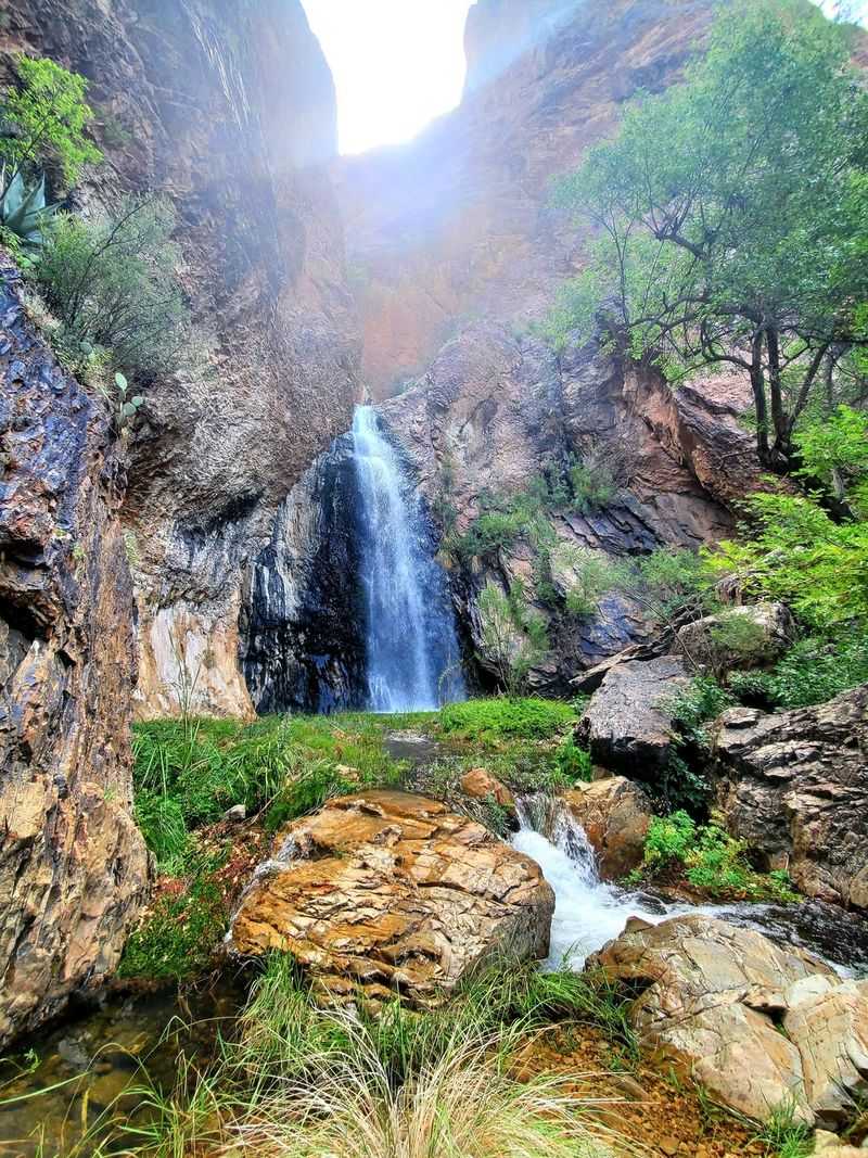 Cattail Falls Trail (Big Bend National Park) Cattail Falls Trail (Big Bend National Park)