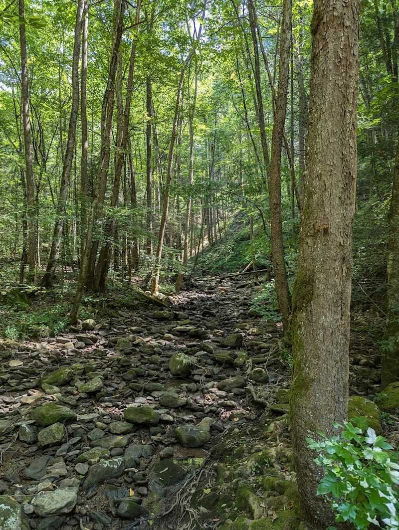 Frozen Head State Park – Wartburg