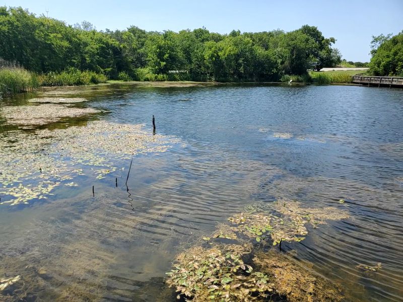 Cedar Hill State Park (Cedar Hill)