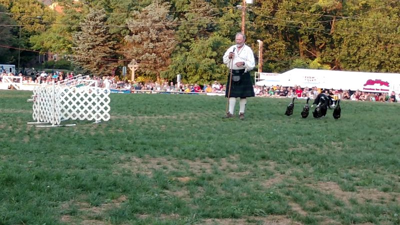 Celtic Fling and Highland Games in Lancaster County Celtic Fling and Highland Games in Lancaster County