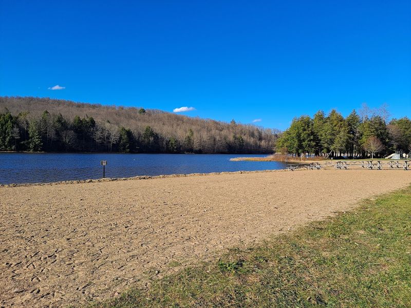 Chapman State Park, Clarendon