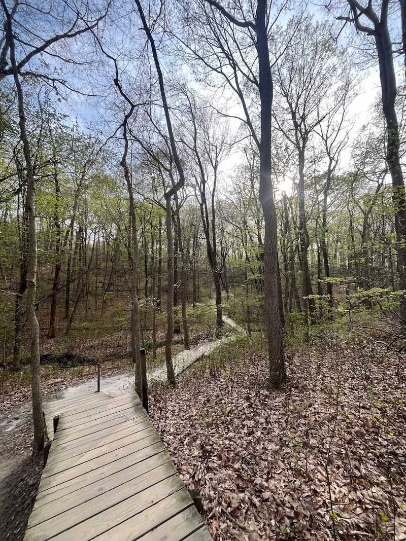 Cheesequake State Park Green Trail, Matawan Cheesequake State Park Green Trail, Matawan