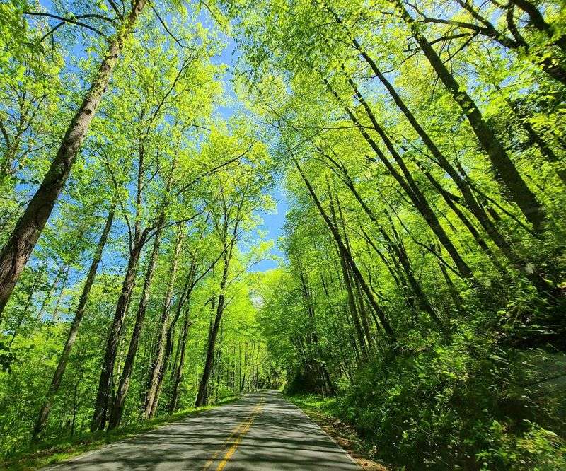 Cherohala Skyway