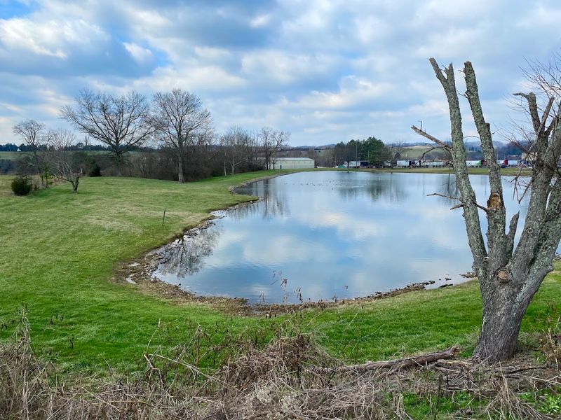 Cherokee Lake Turns Morristown Into An Easy Outdoor Escape