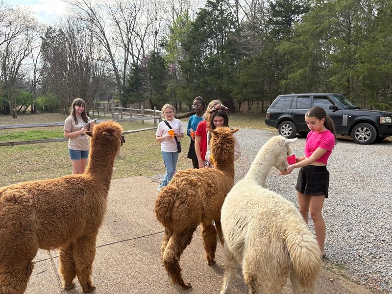 ChewPaca Farm — Mt. Juliet
