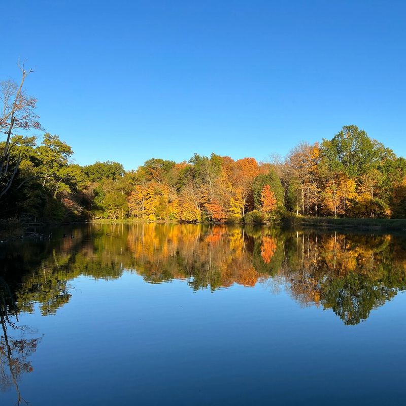 Cincinnati Nature Center, Milford