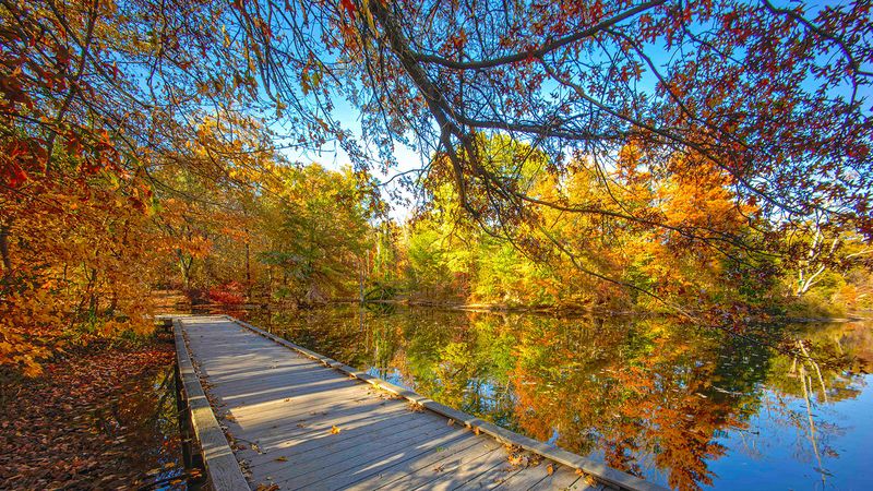 Cincinnati Nature Center Rowe Woods, Milford, Ohio