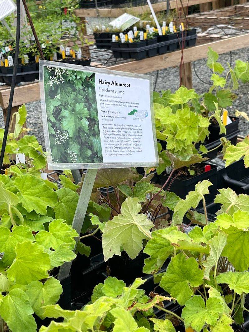 Clear labeling and smart guidance for real landscapes Clear labeling and smart guidance for real landscapes