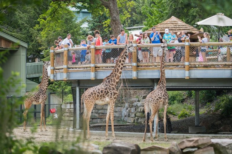 Cleveland Metroparks Zoo, Cleveland