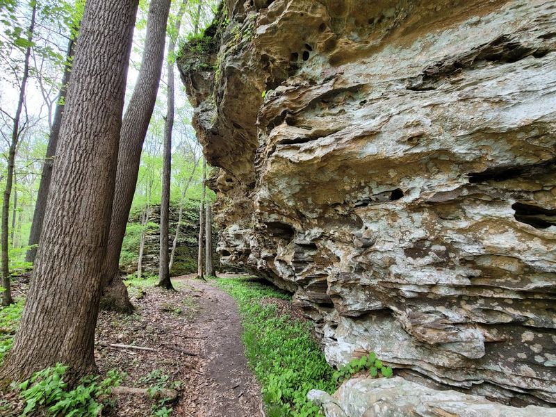 Panther Den Loop (Panther Den Wilderness)