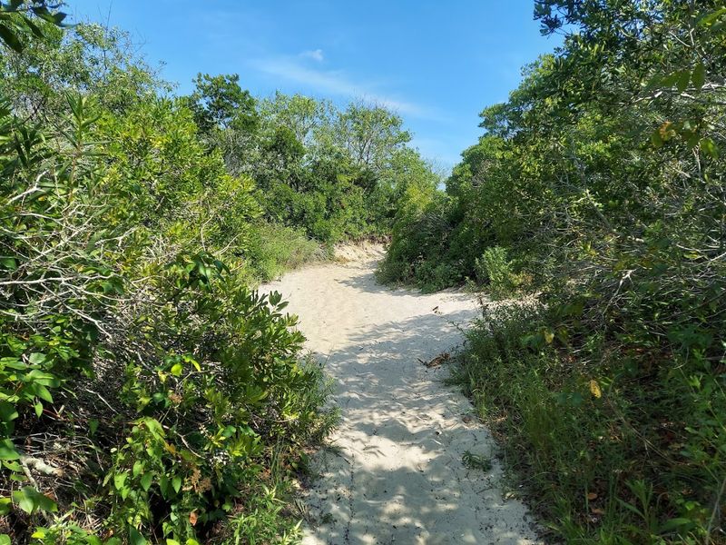 Come For The Quiet Trails And Stay For The Wildlife Come For The Quiet Trails And Stay For The Wildlife