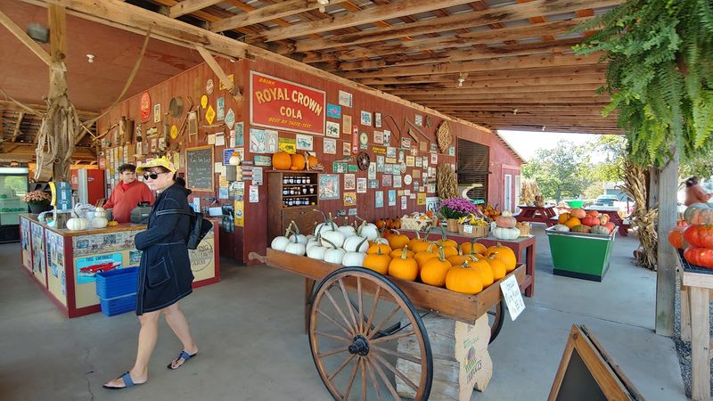 Coning Family Farm Market — Maryville