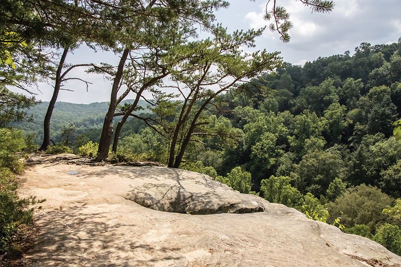 Conkle’s Hollow State Nature Preserve