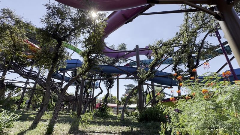 Conquer Taumata Racer for High-Speed Thrills Conquer Taumata Racer for High-Speed Thrills