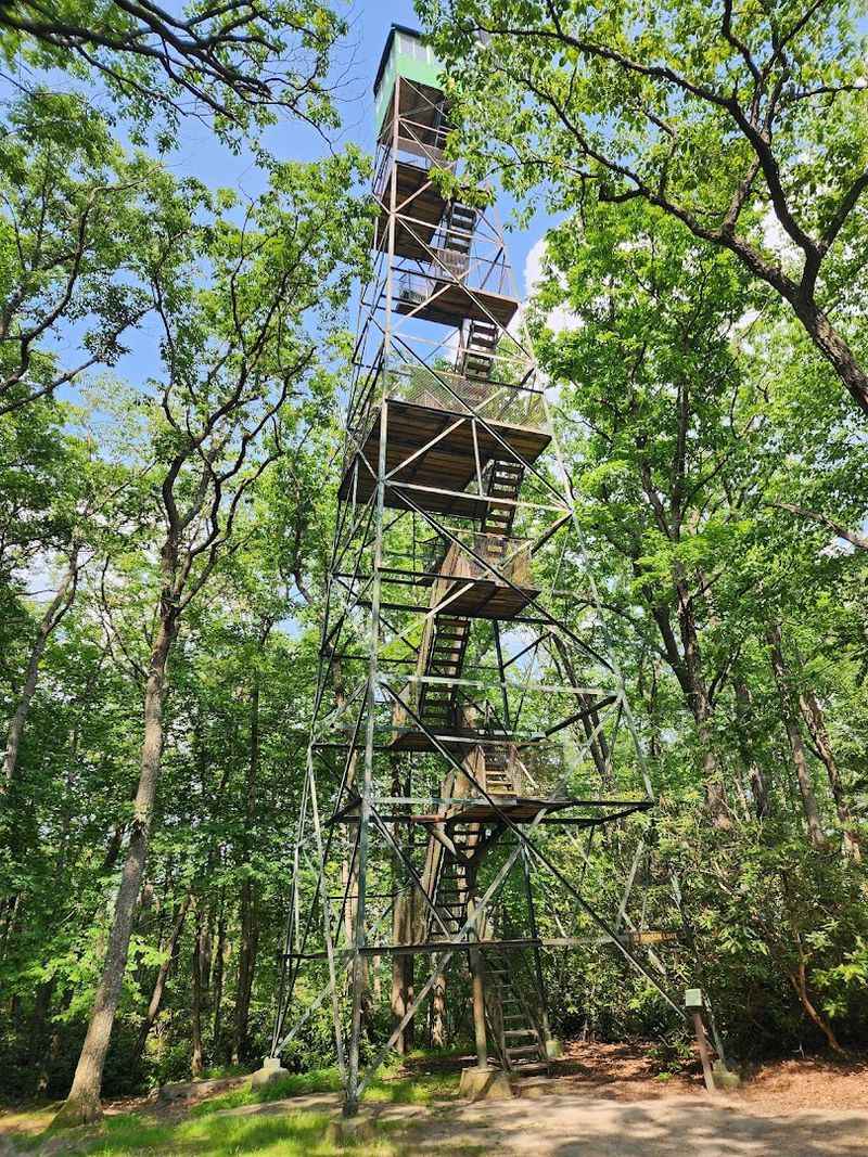Cook Forest State Park, Cooksburg