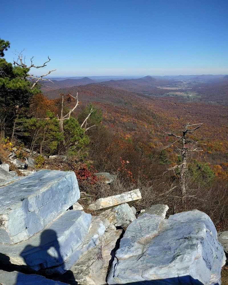 Coon Cave – Buchanan State Forest Coon Cave – Buchanan State Forest