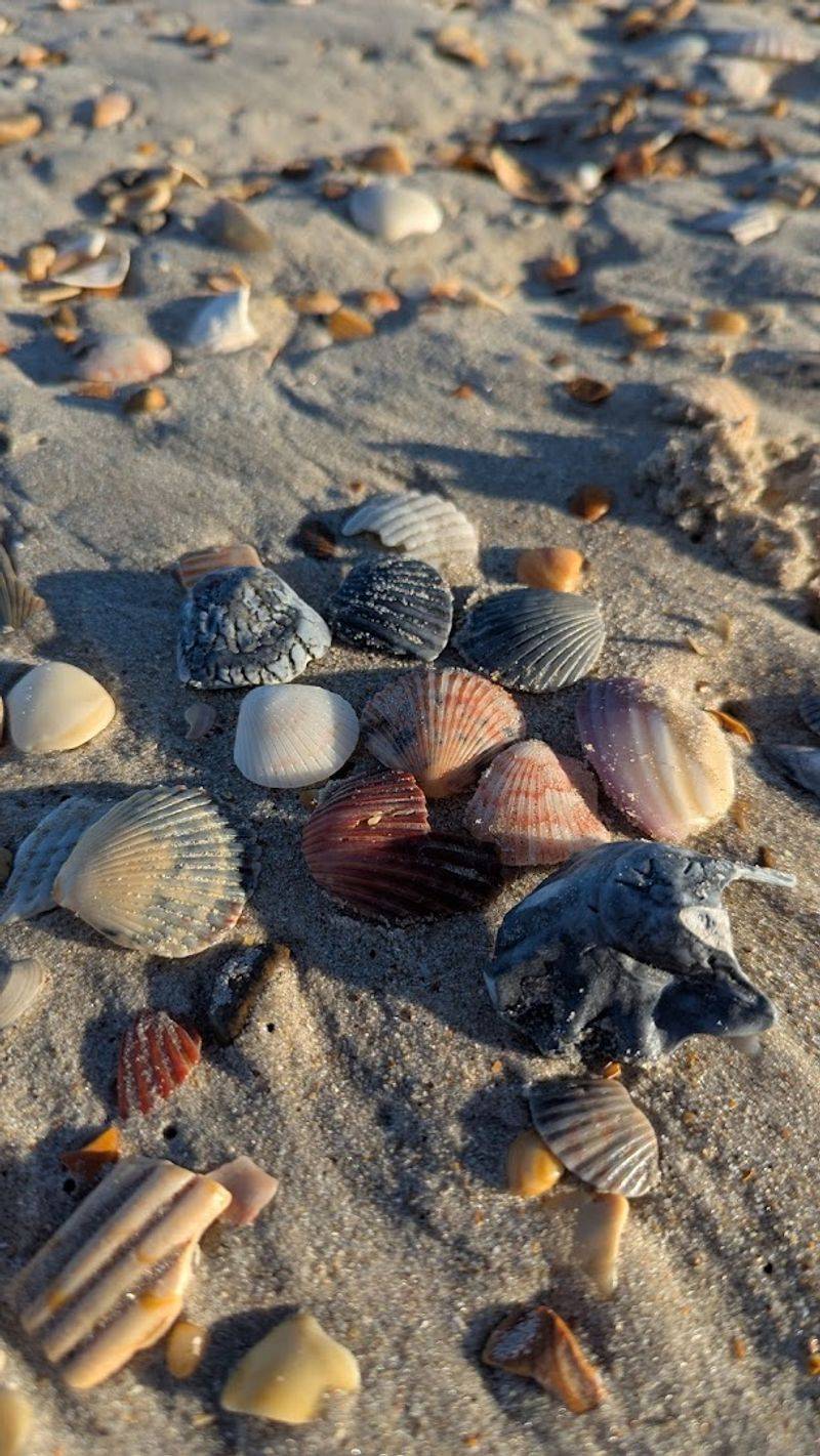 Coquina Beach
