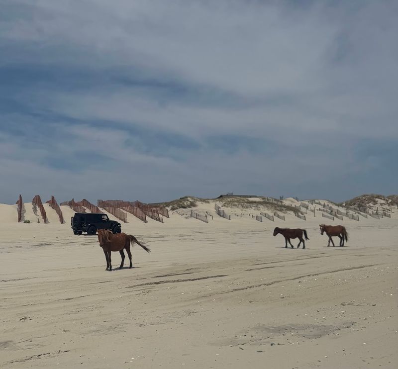Corolla Beach