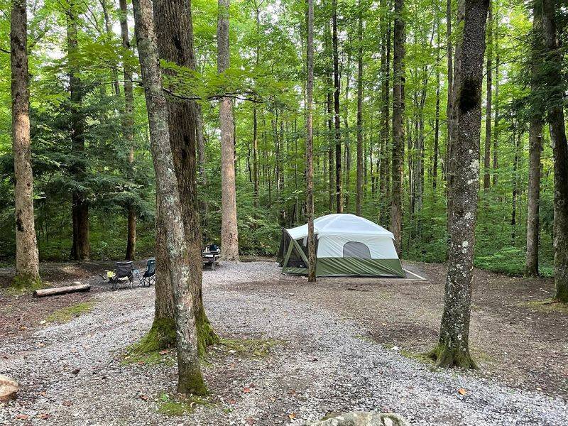 Cosby Campground – Cosby Cosby Campground – Cosby