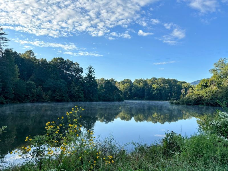 Cove Lake State Park — Caryville