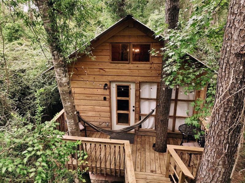 Cozy Treehouse with Hot Tub and Farm Animals (Kirbyville) Cozy Treehouse with Hot Tub and Farm Animals (Kirbyville)