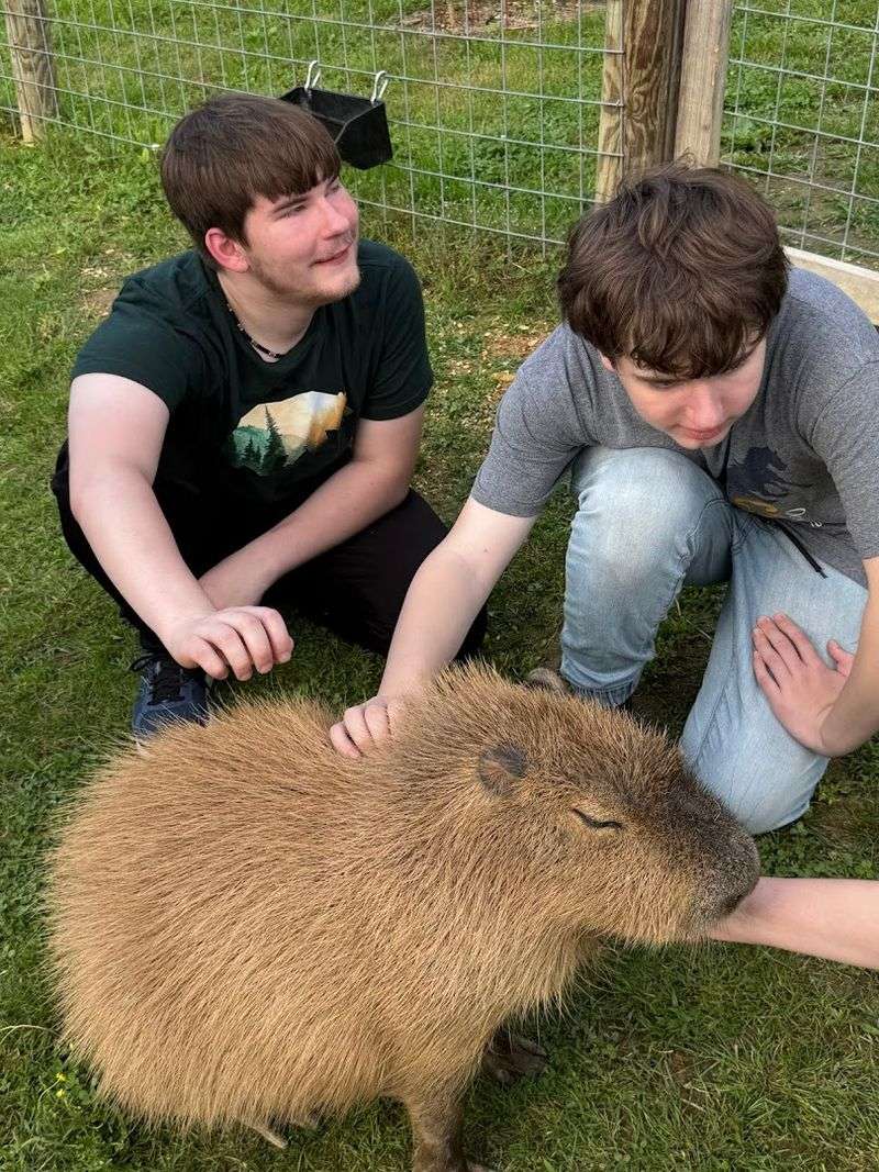 Creature Features Zoo — Athens
