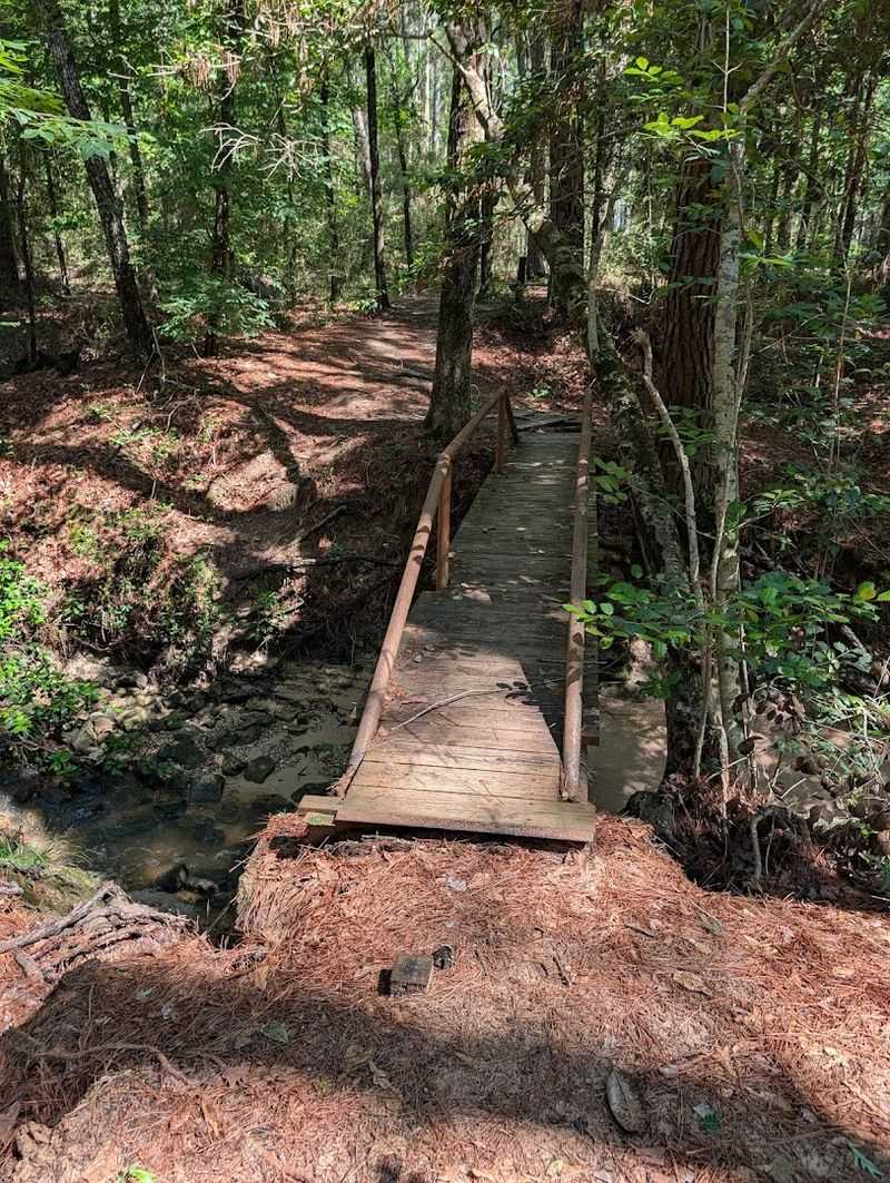 Creek Crossings Add Adventure Elements Creek Crossings Add Adventure Elements