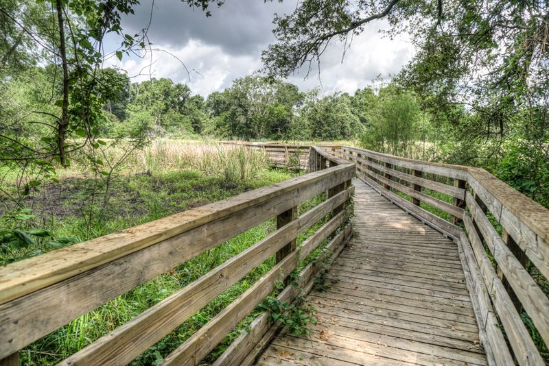Creekfield Lake Nature Trail (Needville)