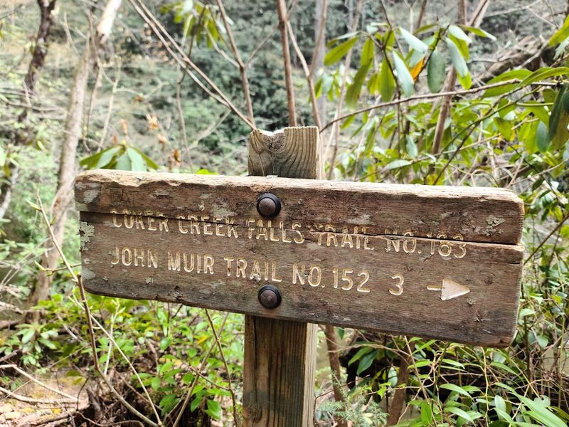 Creekside Paths Make This Trail Feel Extra Relaxing