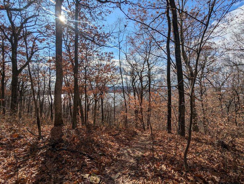 Cushetunk Trail - Round Valley Recreation Area