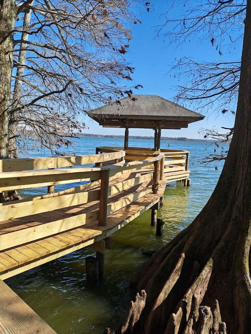 Cypress Boardwalk Trail — Reelfoot Lake State Park