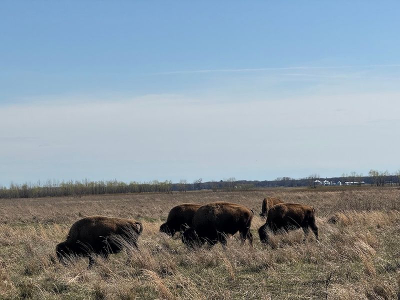 Where the Prairie Suddenly Gets Huge