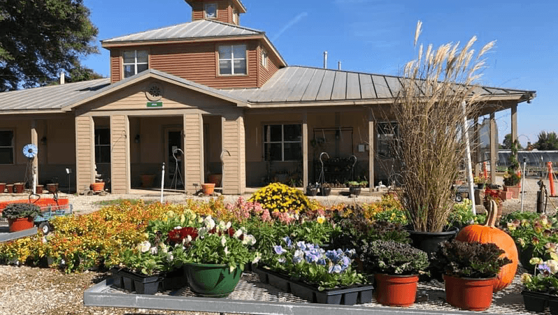 Dabney Nursery — Memphis Dabney Nursery — Memphis