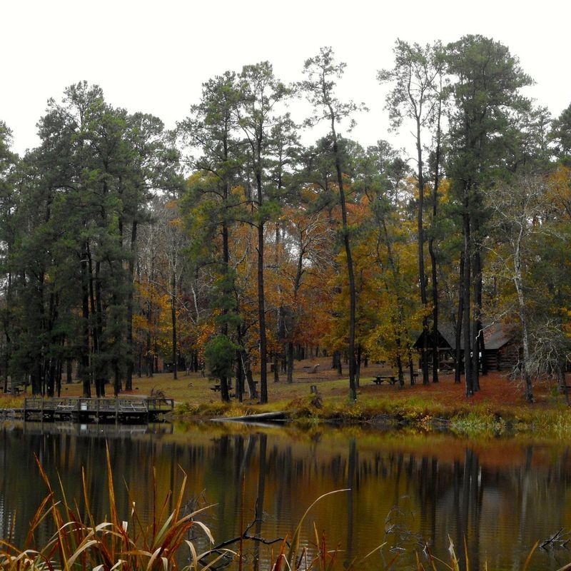 Davy Crockett National Forest (Crockett/Lufkin)