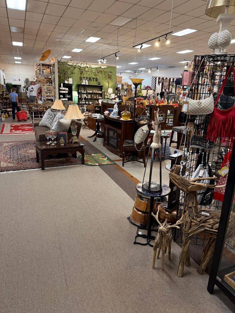Decor, Art, and the Joy of Browsing Decor, Art, and the Joy of Browsing