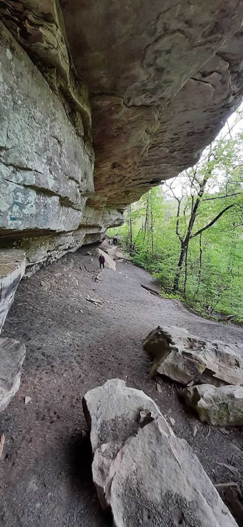 Devil's Breakfast Table — Obed Wild & Scenic River Devil's Breakfast Table — Obed Wild & Scenic River