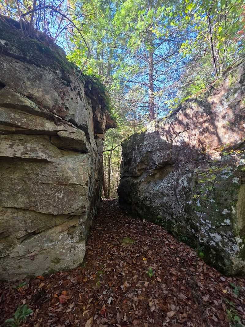Discover Why Catoosa Feels More Like a Wilderness Than a Park