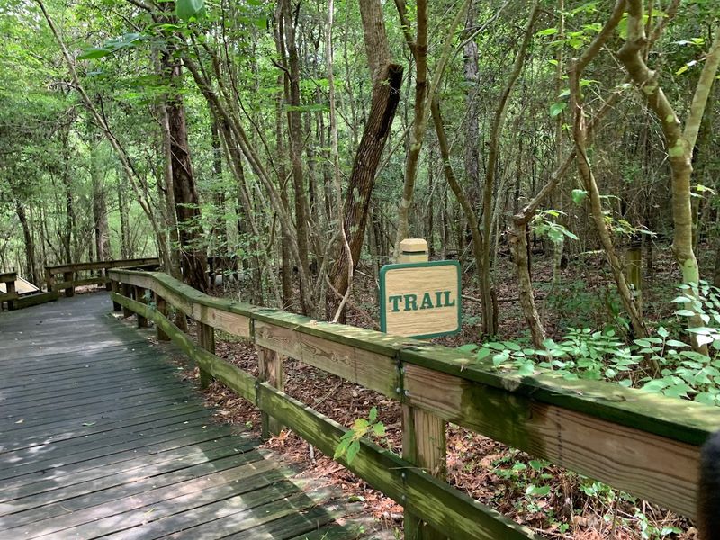 Diverse Forest Types Create Changing Scenery