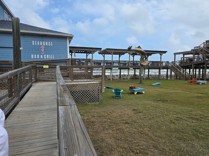 Dog-Friendly Dining Steps From The Sand