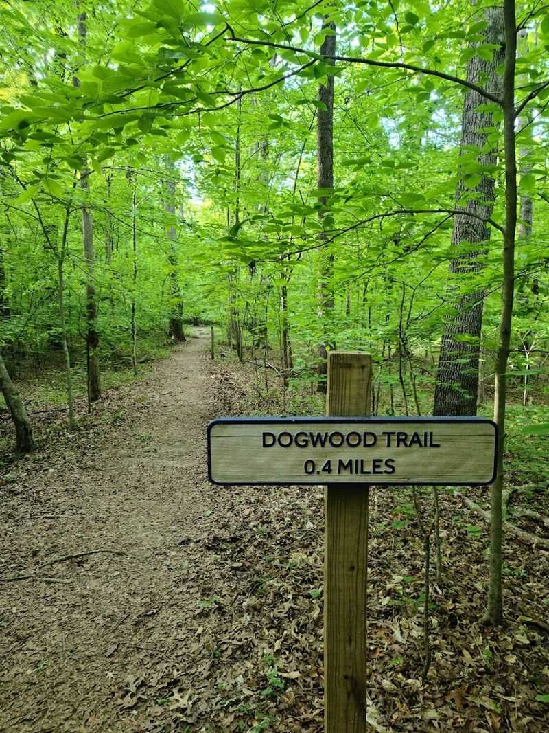 Dogwood Trail Dogwood Trail