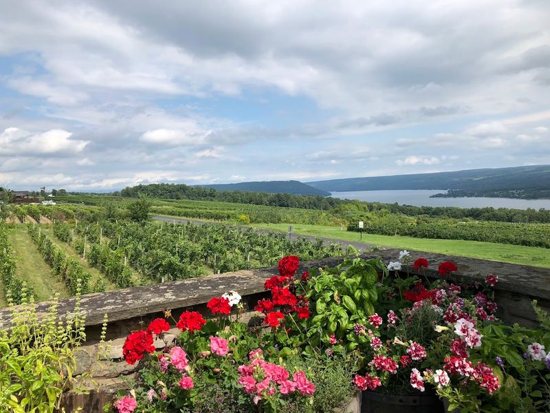 Dr. Konstantin Frank Winery (Hammondsport)