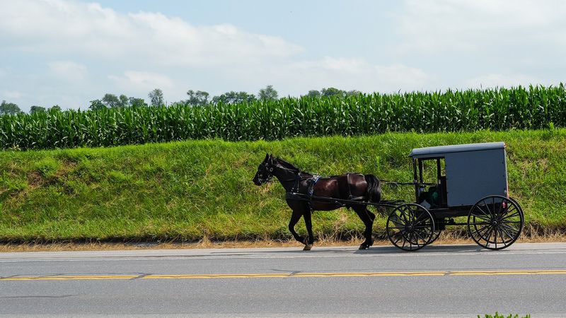 Drive the Scenic Roads Around Town
