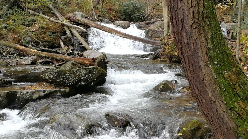 Dunnfield Creek Falls Dunnfield Creek Falls